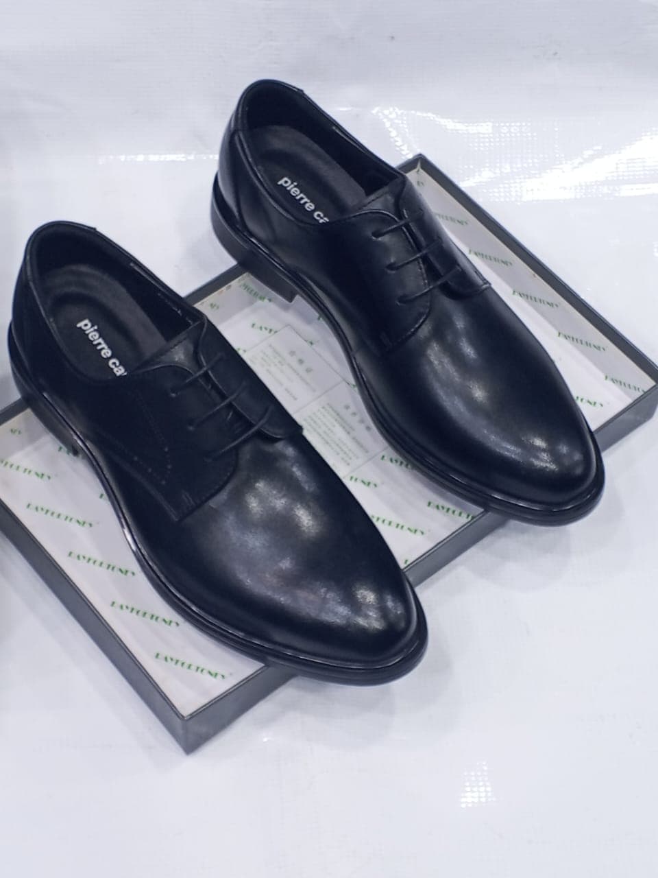 Pisa Plain Derby